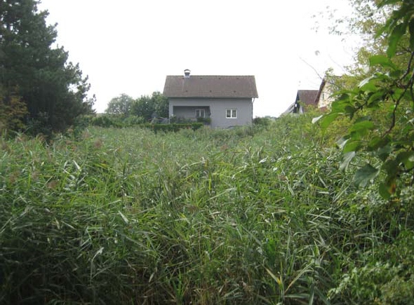 01_VoherFoto