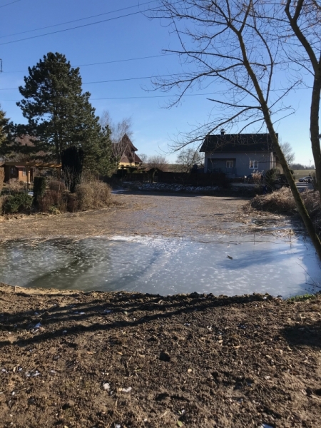11_Schilfschnitt_Gemeinde