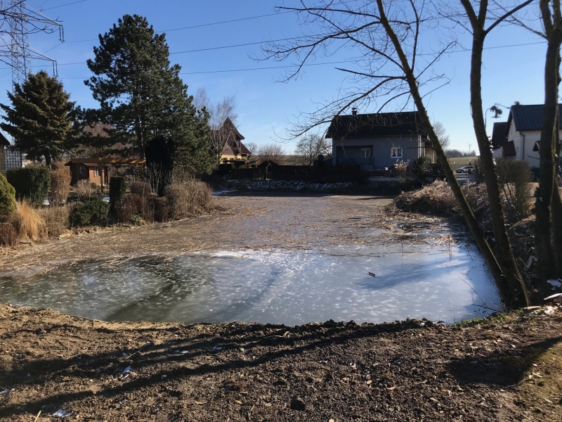 12_Schilfschnitt_Gemeinde