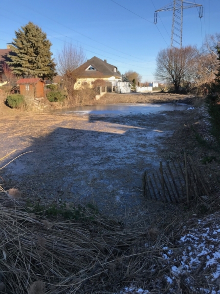 13_Schilfschnitt_Gemeinde
