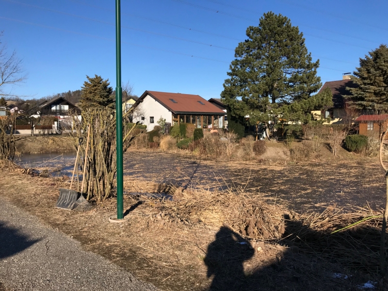 15_Schilfschnitt_Gemeinde
