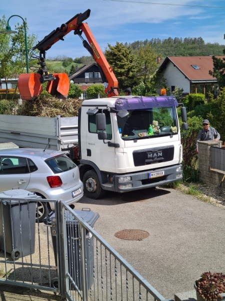 26_Schilfabholung